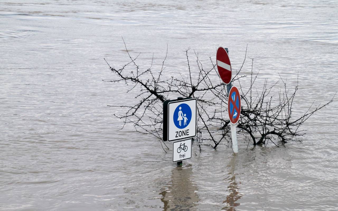 Hochwasser, Wasser, Staudamm, Rhein, Überschwemmung