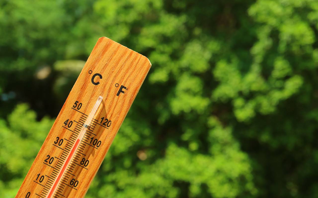 Sonne, Sommer, Hitze, Temperatur, Hitzewelle