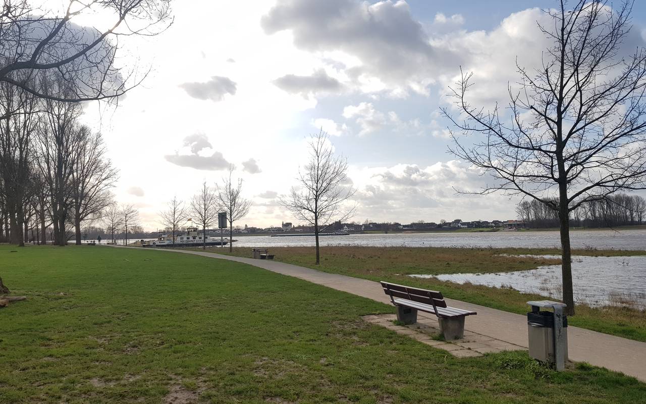 Rhein, Hitdorf