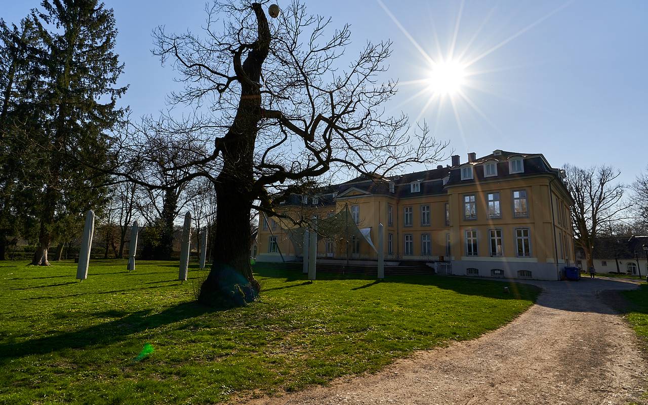 Schloss Morsbroich, Kultur, Leverkusen, Symbolbild, Park