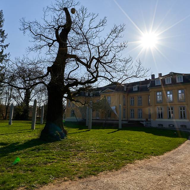 Schloss Morsbroich, Kultur, Leverkusen, Symbolbild, Park
