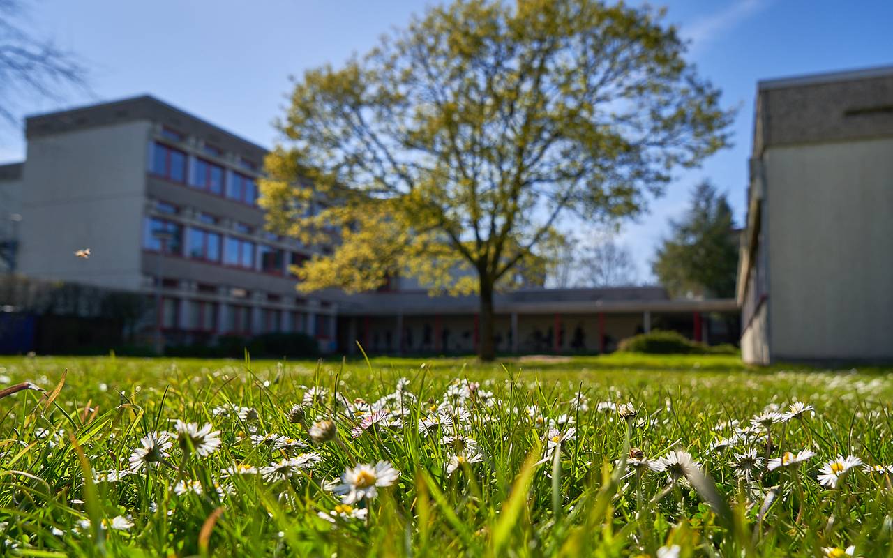 Schule,Freiherr-vom-Stein-Gymnasium, Gymnasium, Symbolbild, Kinder, Blumen, Baum, Natur, Frühling