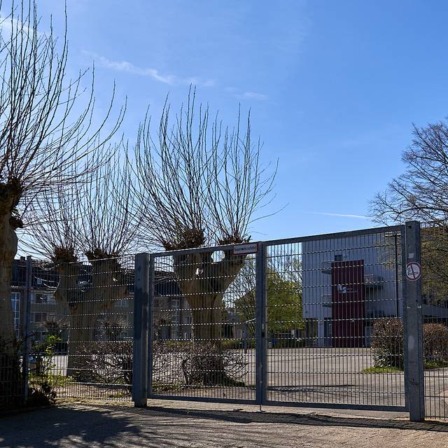 Realschule Am Stadtpark, Schule, Realschule, Kinder, Symbolbild