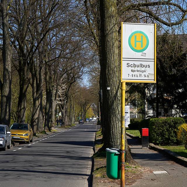 Schulbus haltestelle, Haltestelle, Schule, Bus, Schild