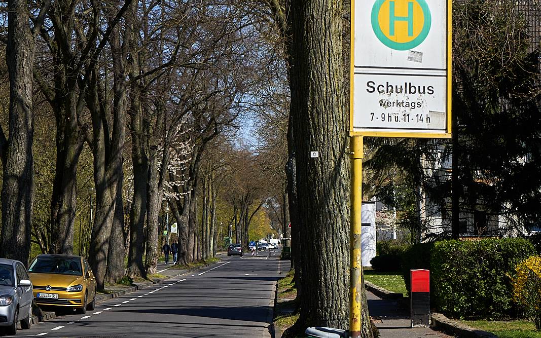 Schulbus haltestelle, Haltestelle, Schule, Bus, Schild