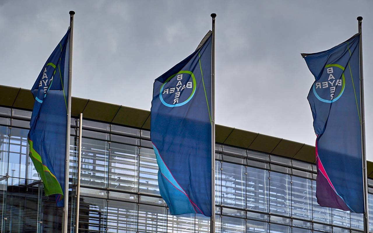 Bayer Konzernzentrale, Bayer, Symbolbild, Bayer, Fahnen