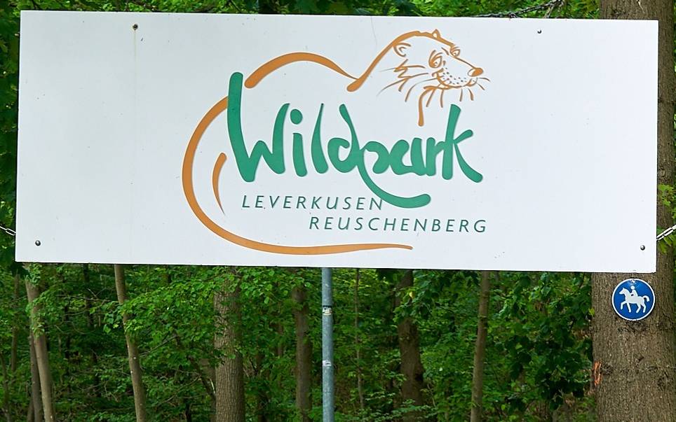 Wildpark Reuschenberg, Küppersteg, Tiere, Tierpark, Symbolbild