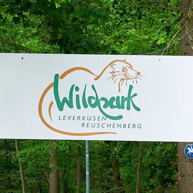 Wildpark Reuschenberg, Küppersteg, Tiere, Tierpark, Symbolbild