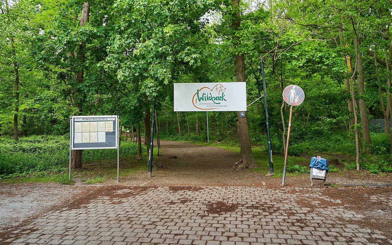 Wildpark Reuschenberg, Küppersteg, Tiere, Tierpark, Symbolbild