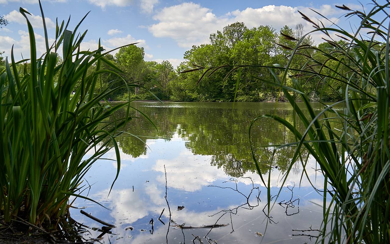 Oulusee, Natur, Schlebusch, Symbolbild, Wasser, See