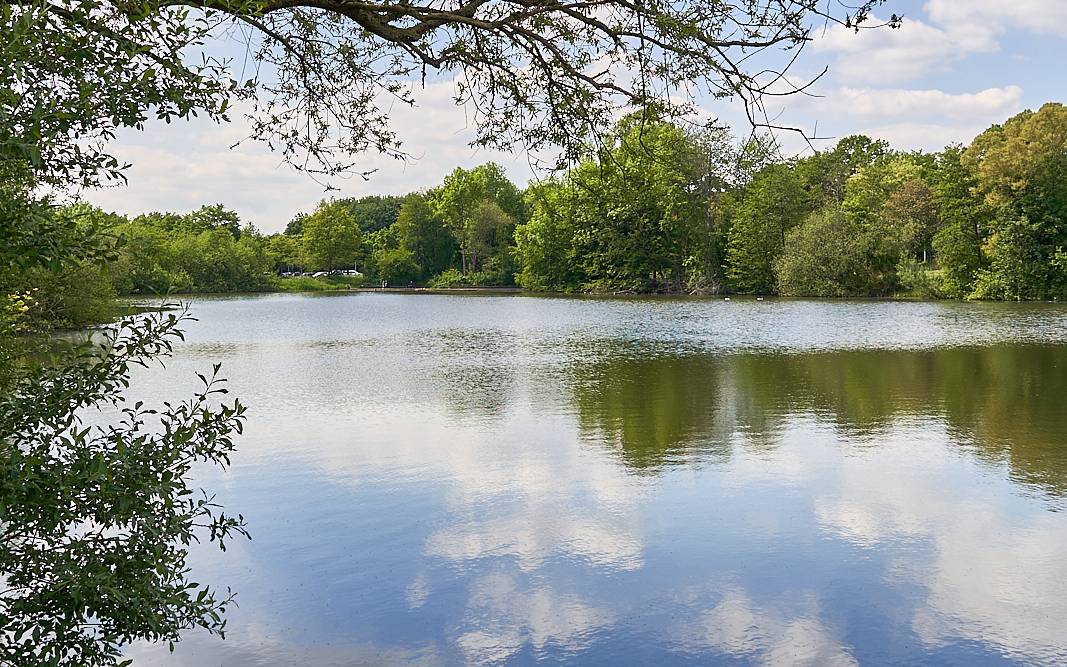 Oulusee, Natur, Schlebusch, Symbolbild, Wasser, See