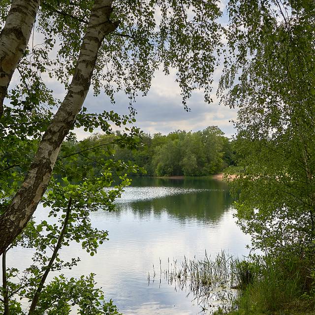 Silbersee, Küppersteg, See, Sand, Badesee, schwimmen, Symbolbild