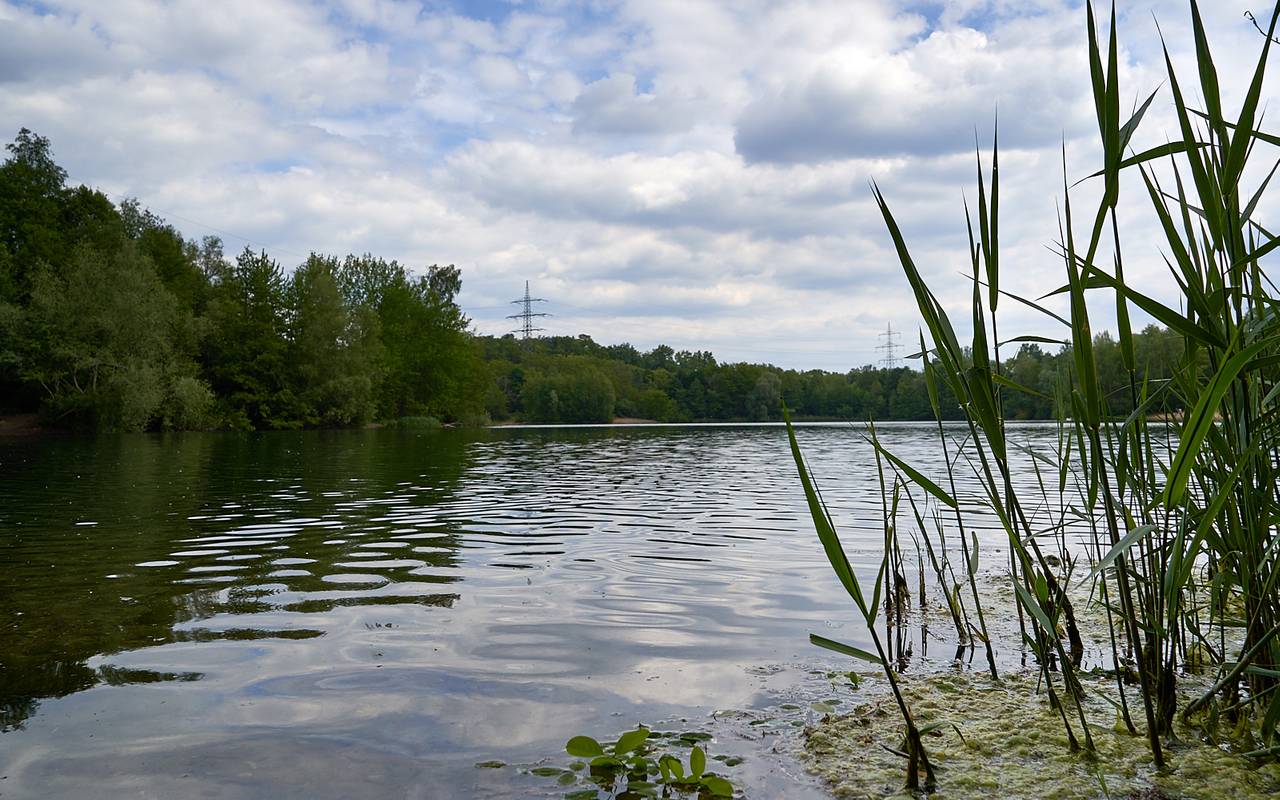 Silbersee, Küppersteg, See, Sand, Badesee, schwimmen, Symbolbild