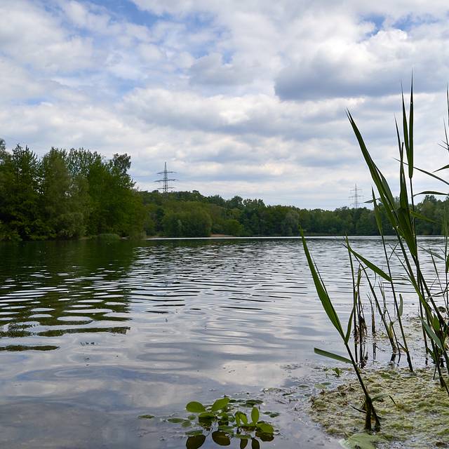 Silbersee, Küppersteg, See, Sand, Badesee, schwimmen, Symbolbild