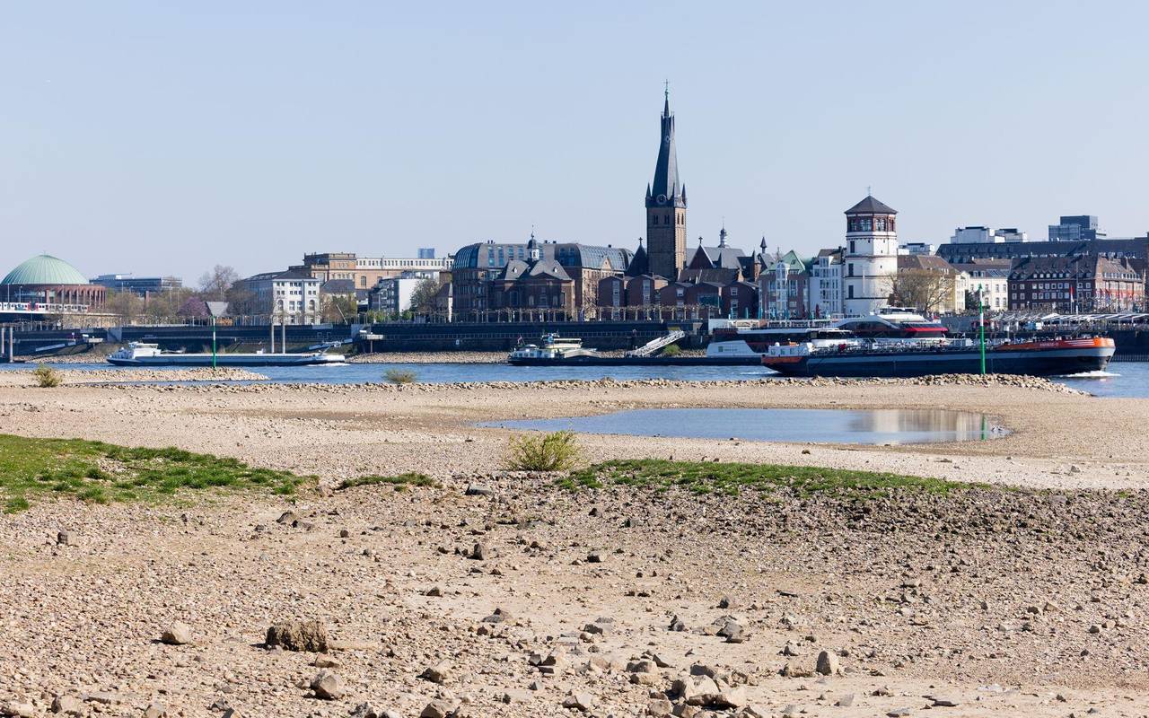 Trockenheit am Rhein