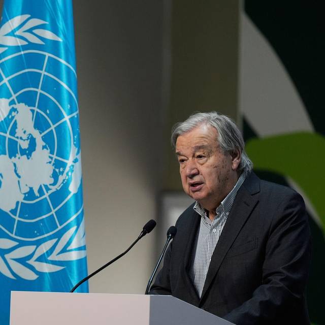 Weltklimakonferenz COP30