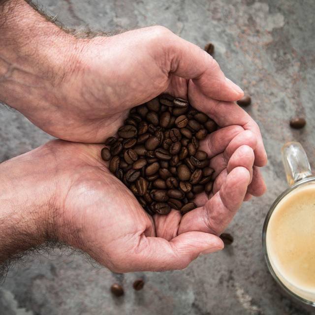 Ein Mann hält Kaffeebohnen in den Händen