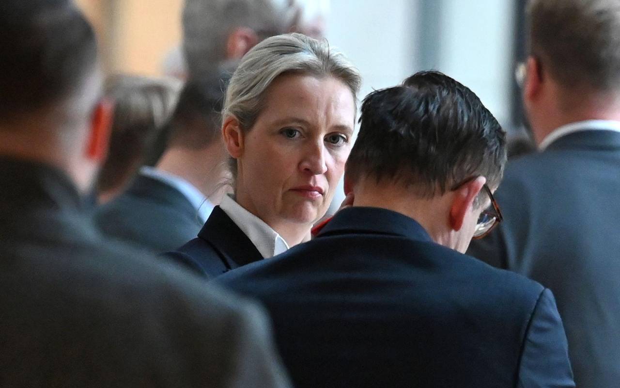 AfD-Chefin Alice Weidel