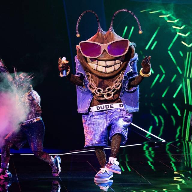 „The Masked Singer“