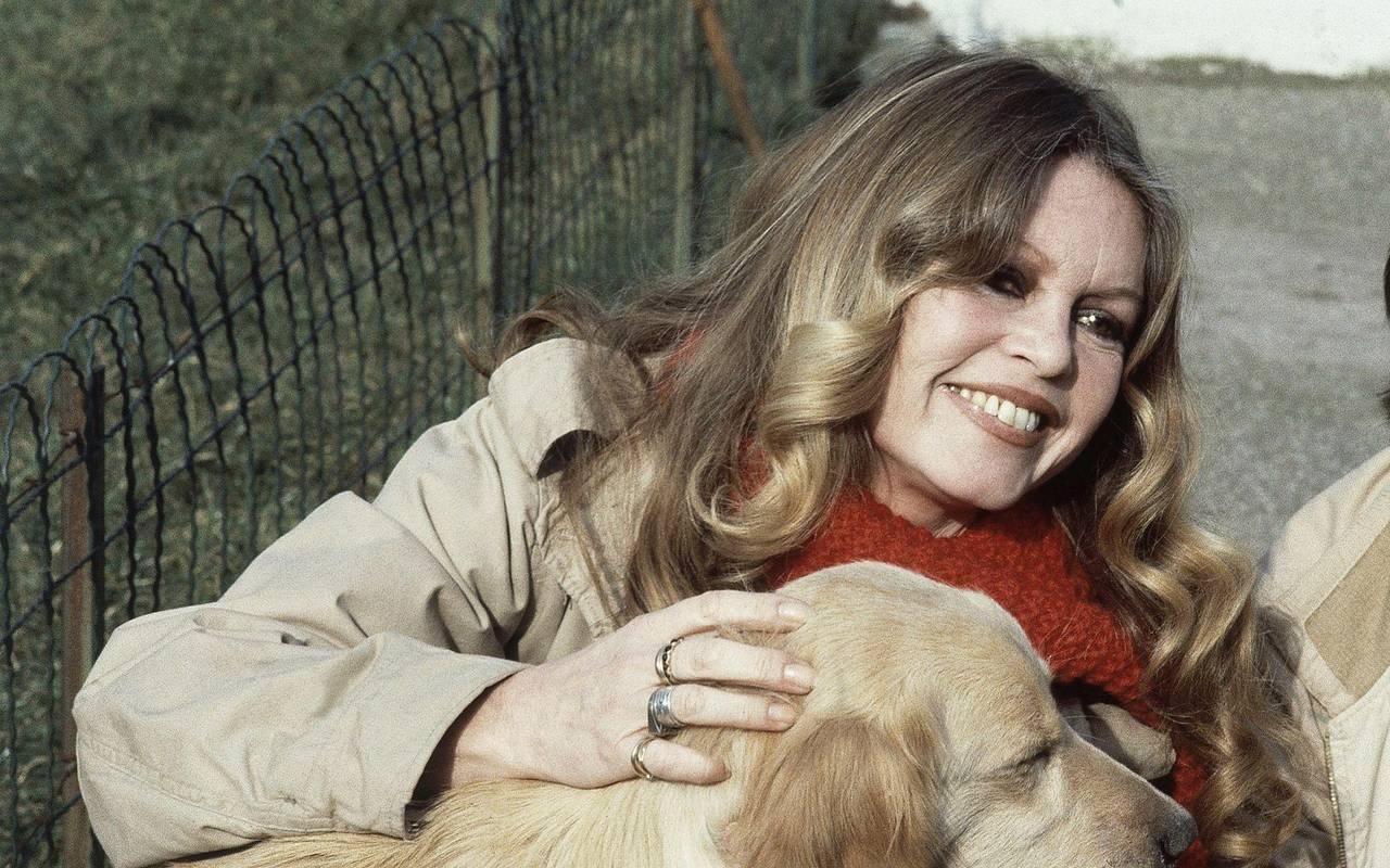 Brigitte Bardot gestorben