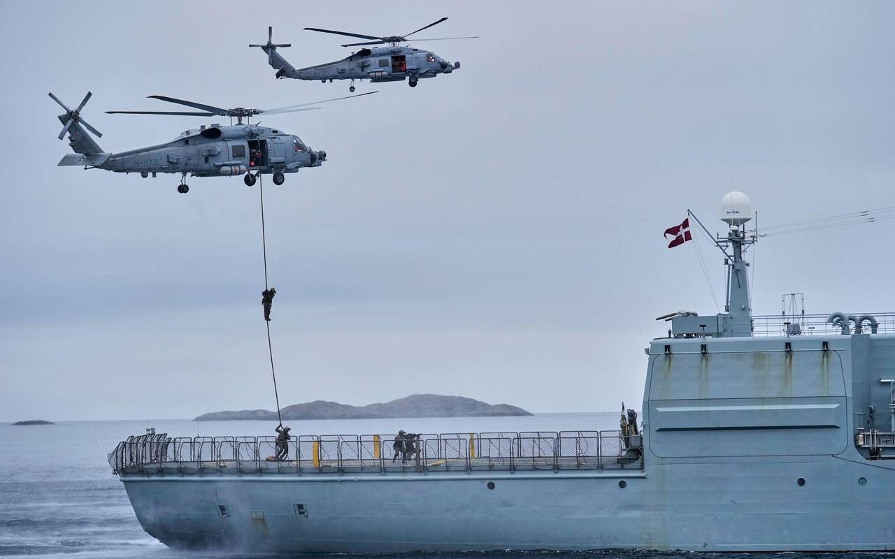 Dänische Streitkräfte