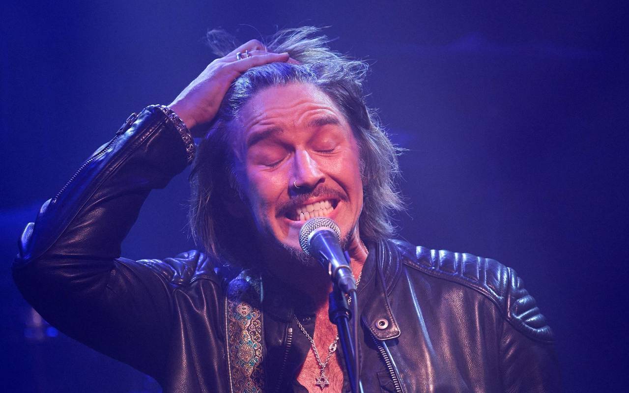 Der neue Dschungel-Cast: Genialer Coup oder totaler Flop?