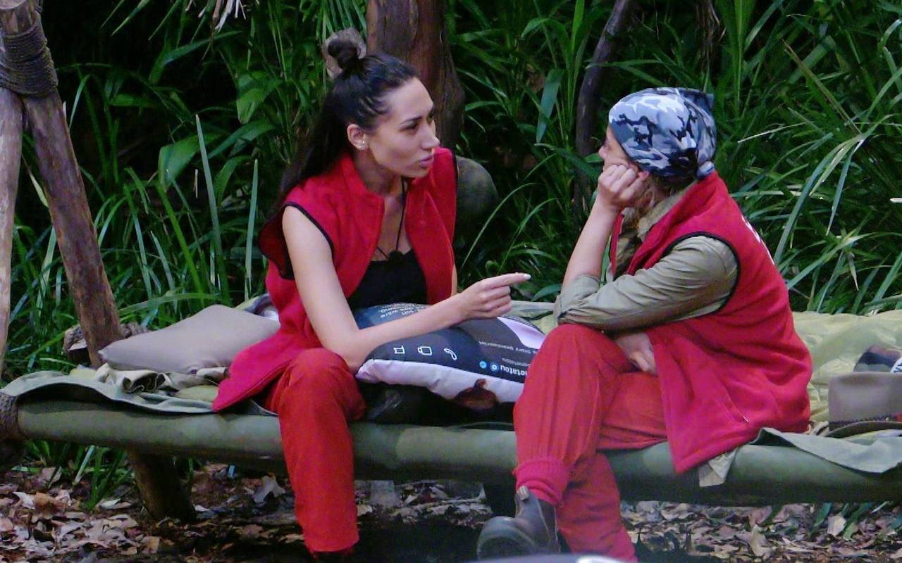 Ich bin ein Star - Holt mich hier raus! - Tag 3