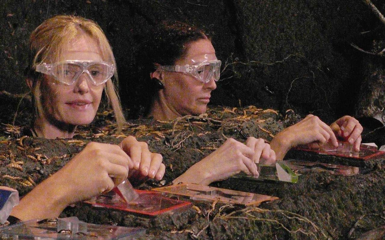 Ich bin ein Star - Holt mich hier raus! - Tag 9