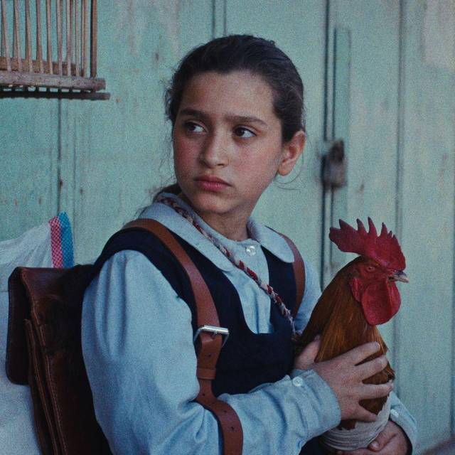 Kinostart - «Ein Kuchen für den Präsidenten»