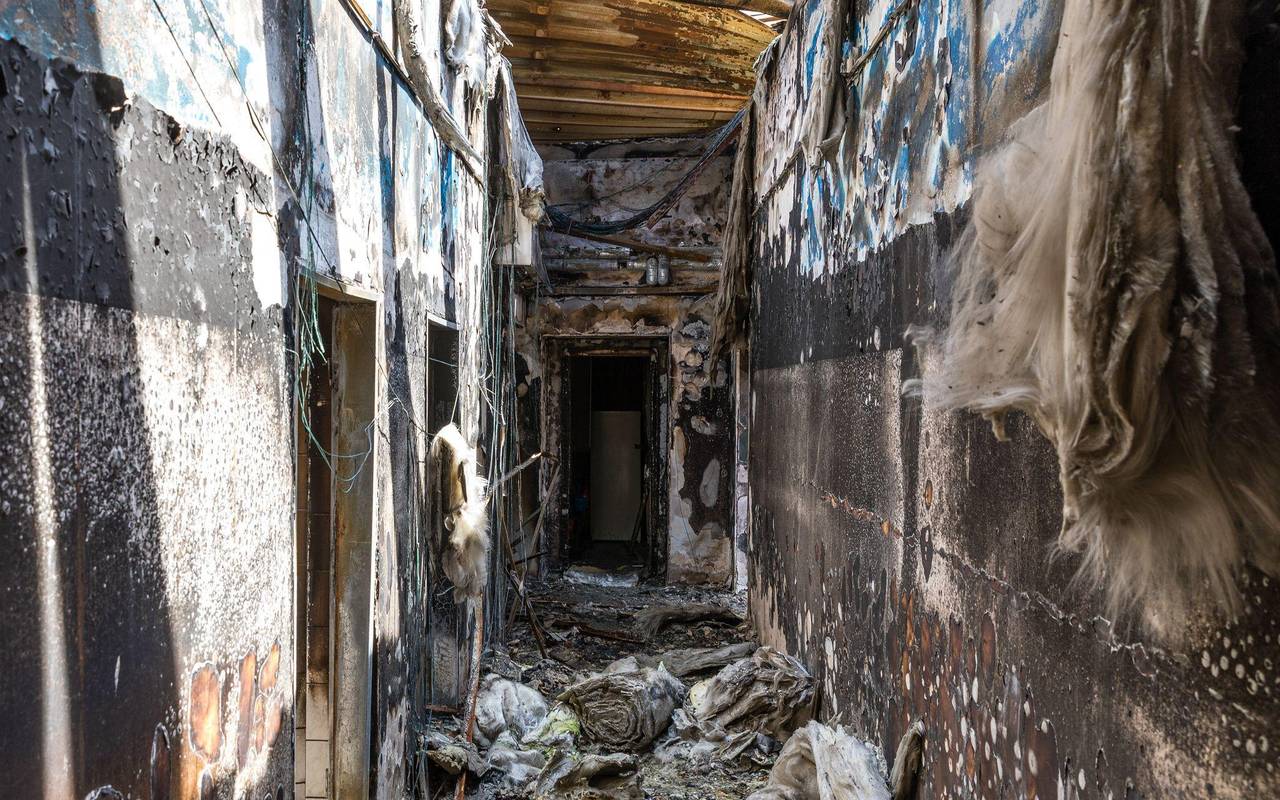 Mutmaßliche rechte Terrorzelle: Junge Männer festgenommen