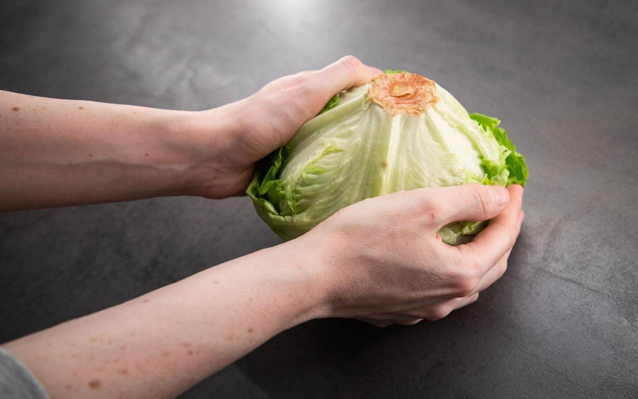 Frau hält einen Salatkopf in den Händen