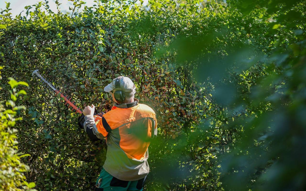 Schufa, Wahlen, Sommerzeit – das ändert sich im März