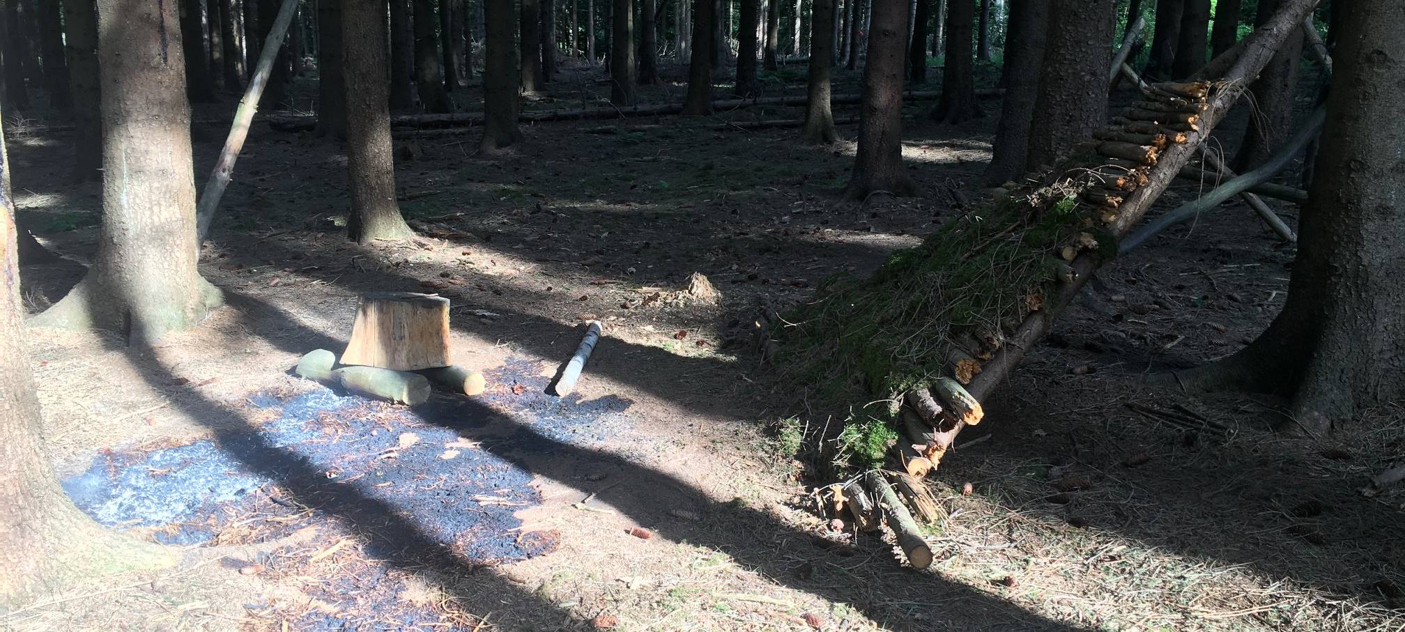 Leverkusen: Bürgerbusch-Initiative zieht positives Fazit