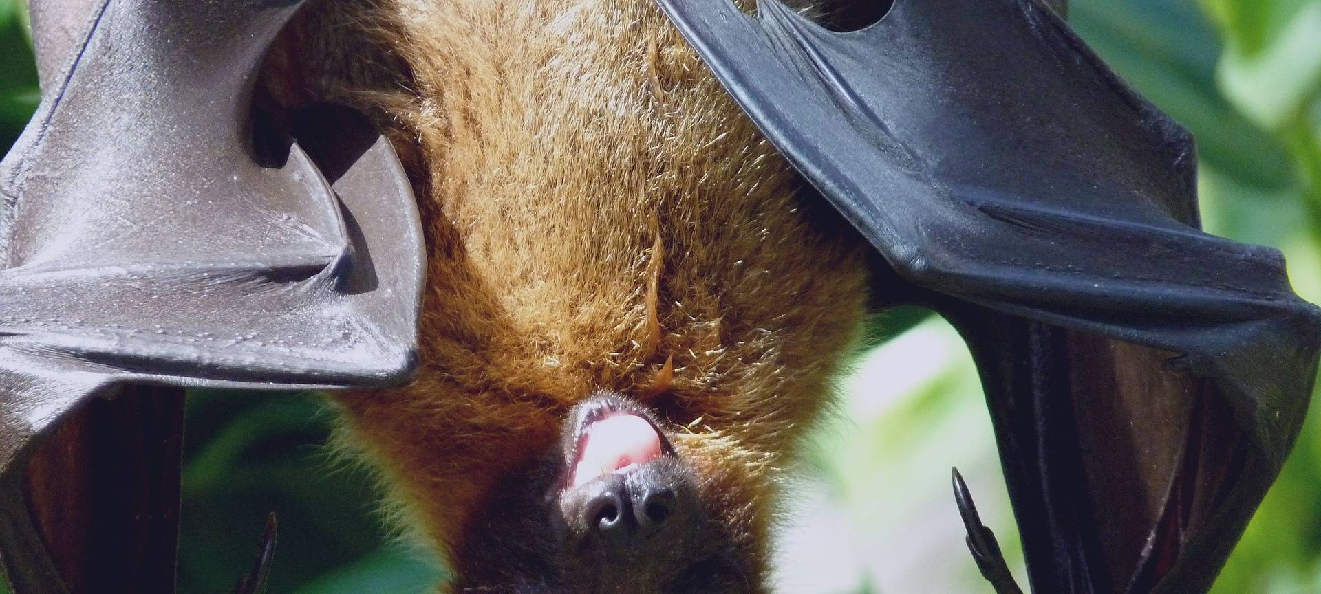 Nächtliche Entdeckungstour durch Leverkusen