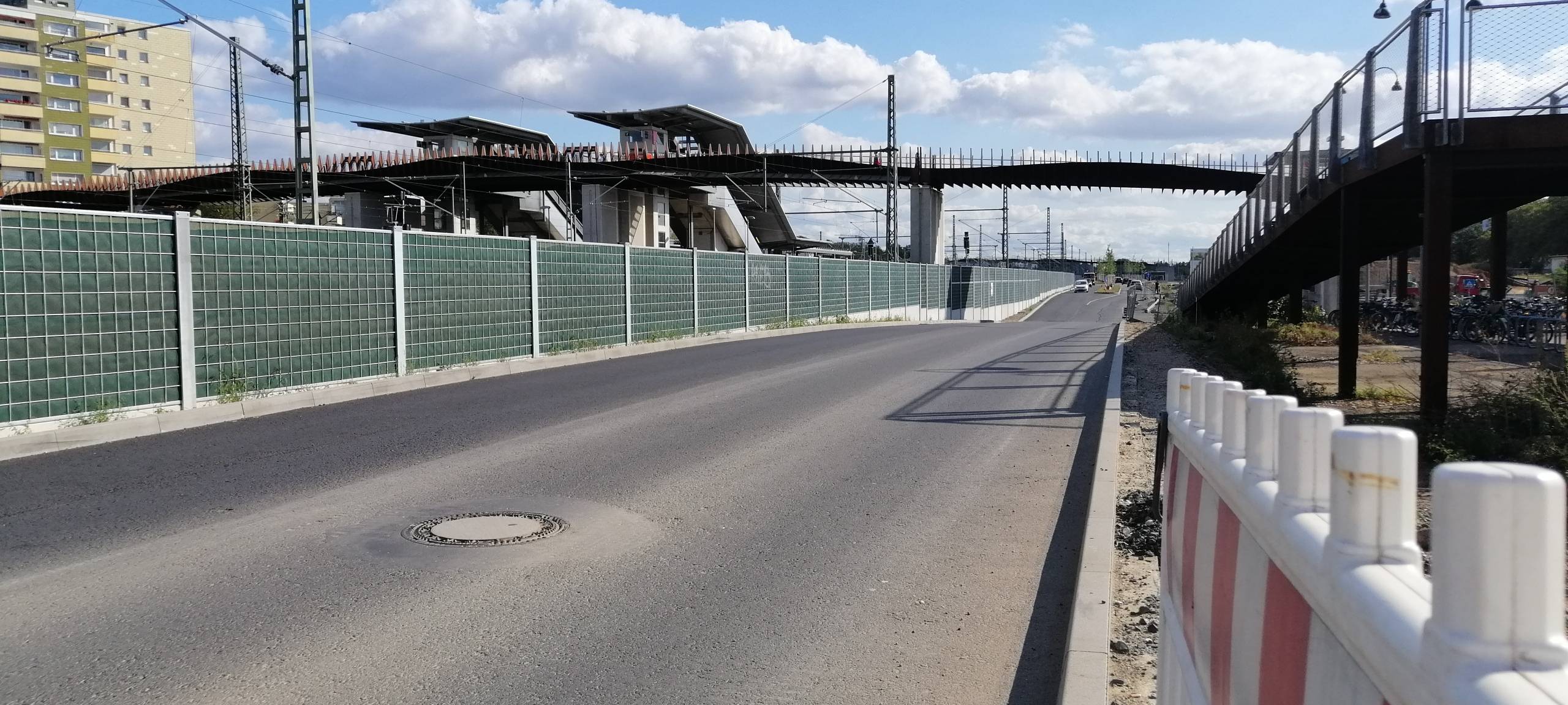 Europa-Allee Leverkusen: Stadt tauscht 70 Sumpfeichen aus