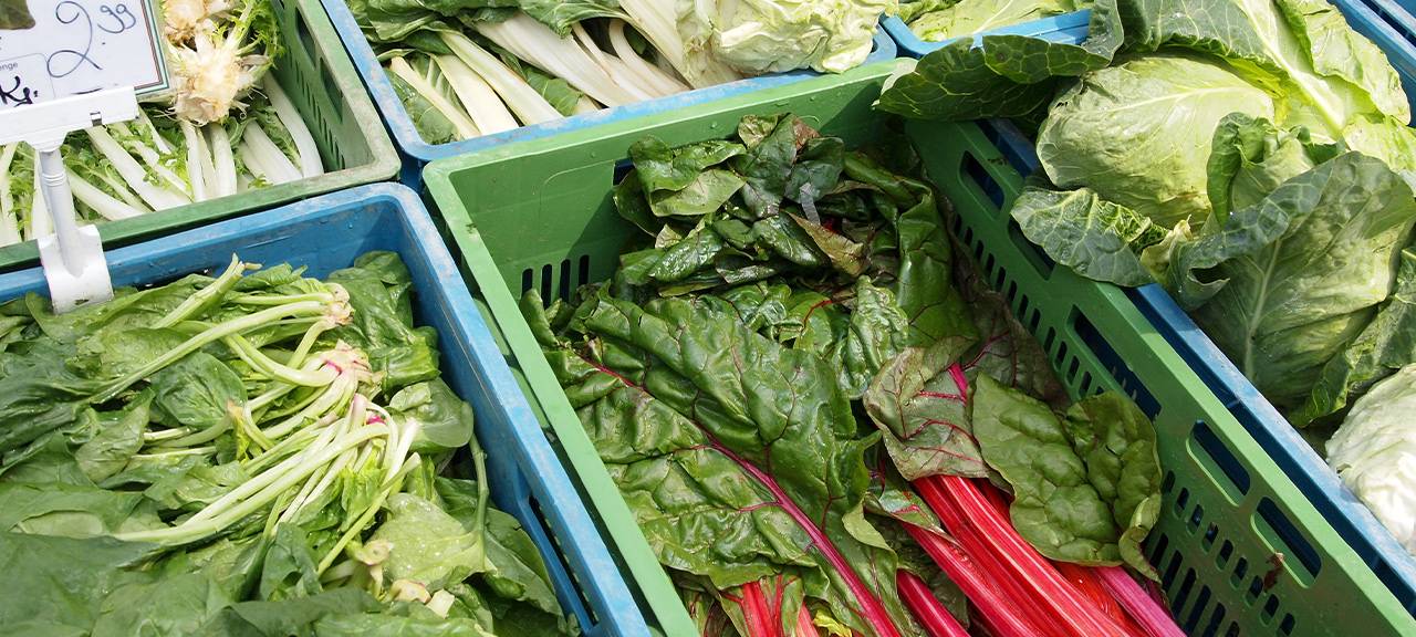Neuer Wochen- und Feierabendmarkt für Hitdorf