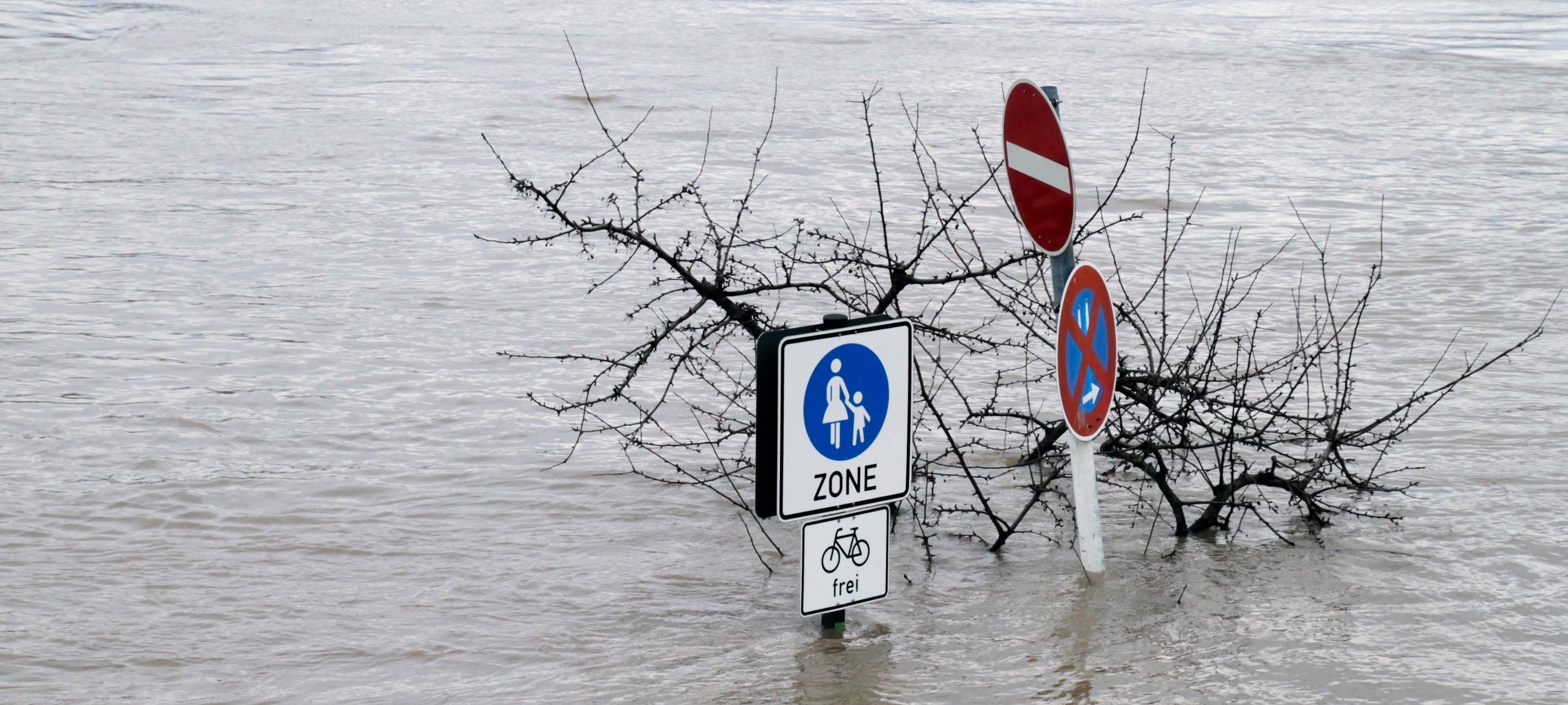 Hochwasser, Wasser, Staudamm, Rhein, Überschwemmung