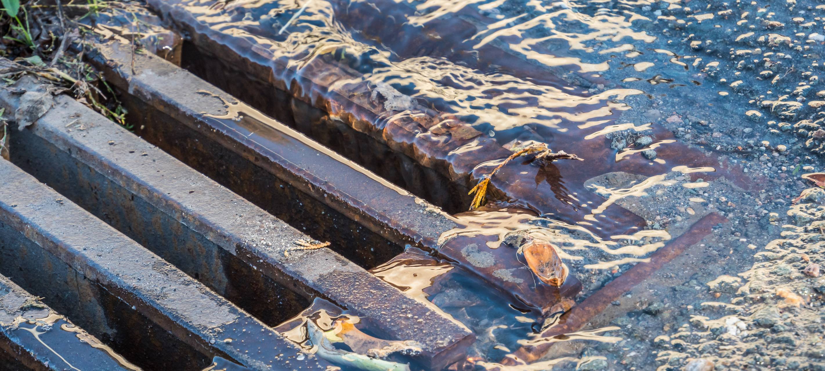 Regen, Wasser, Wetter