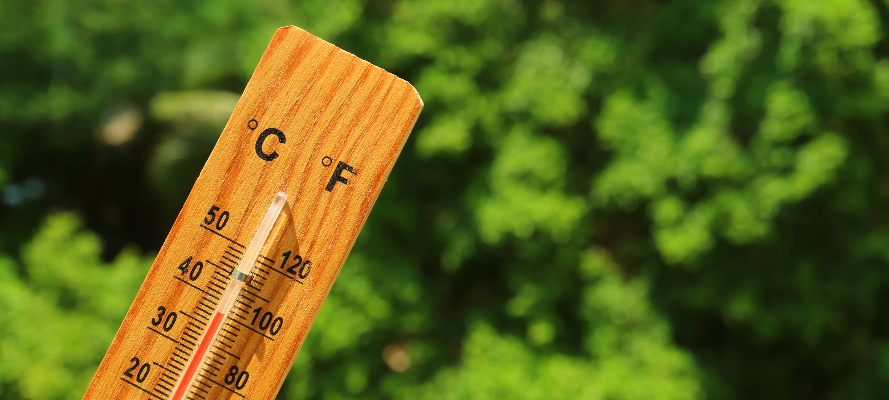 Sonne, Sommer, Hitze, Temperatur, Hitzewelle