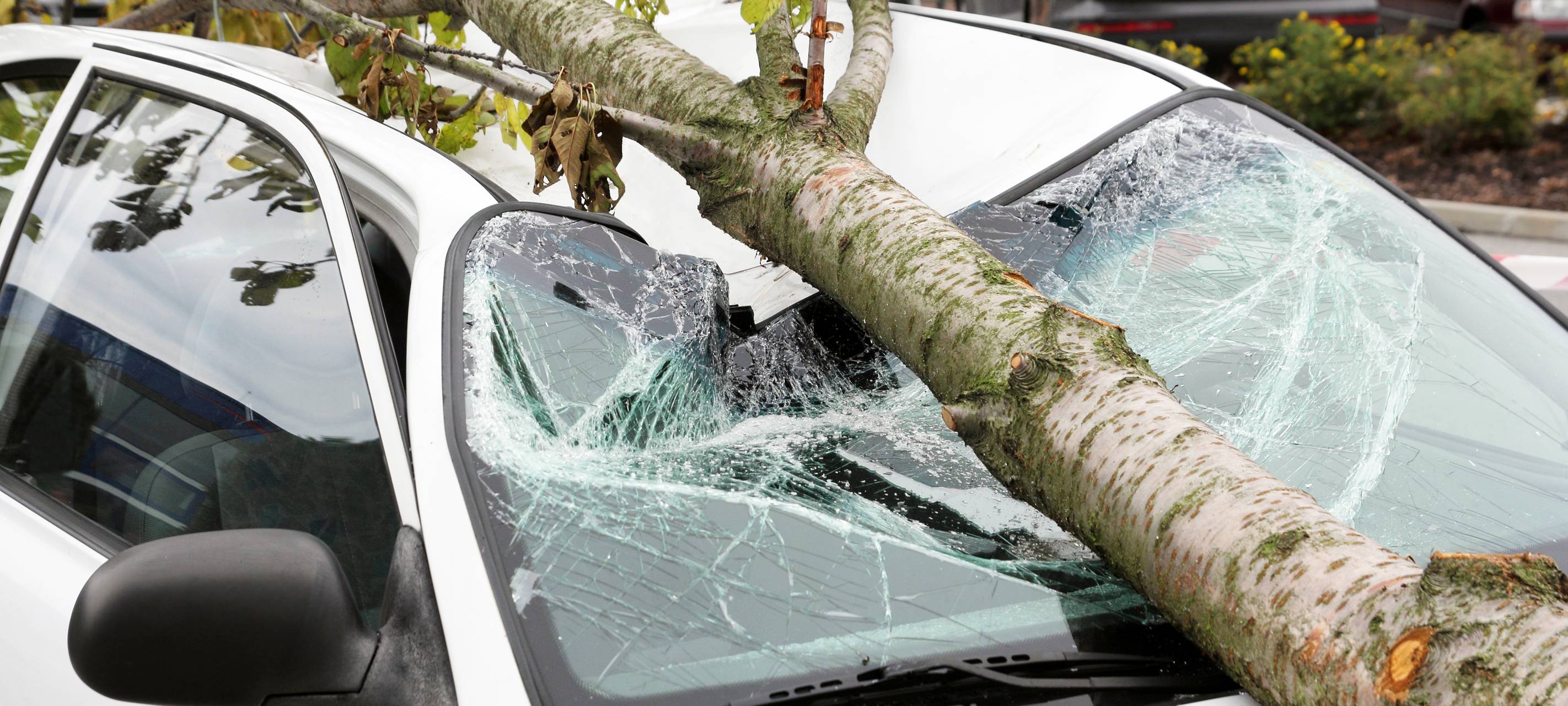 Sturmschäden, Unwetter, Sturm, Schäden