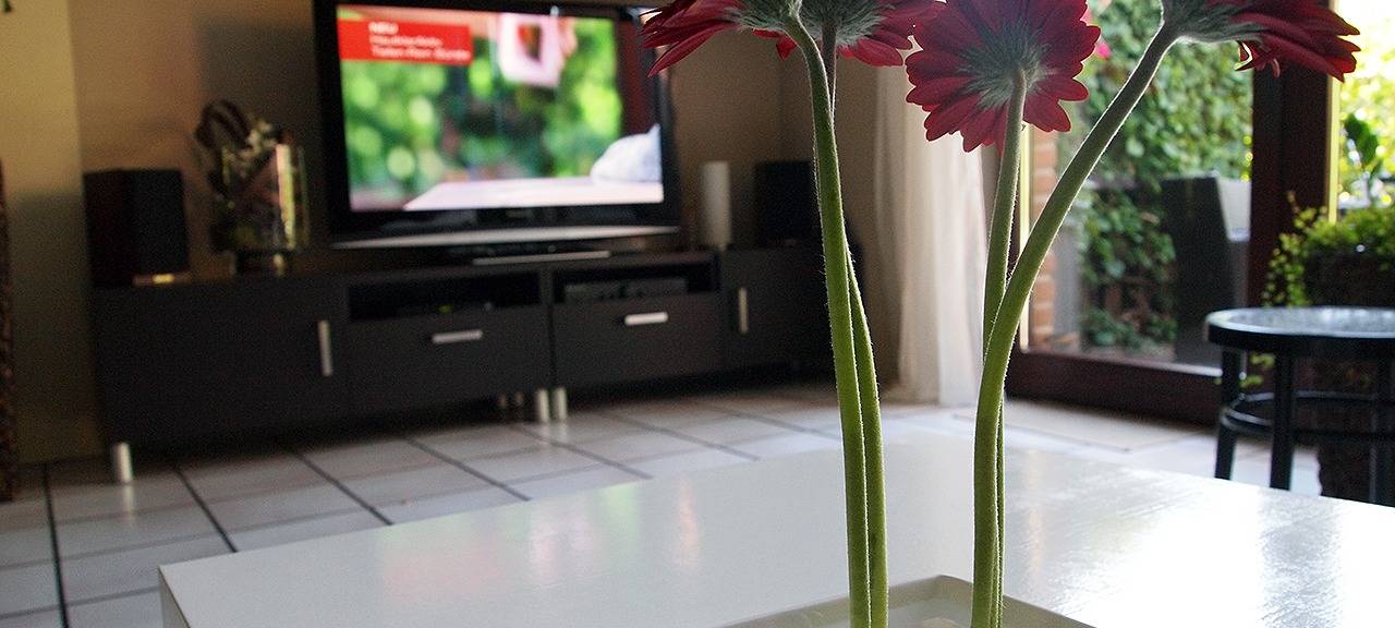 Tauschplattformen: Was muss bei einem Wohnungstausch beachtet werden?