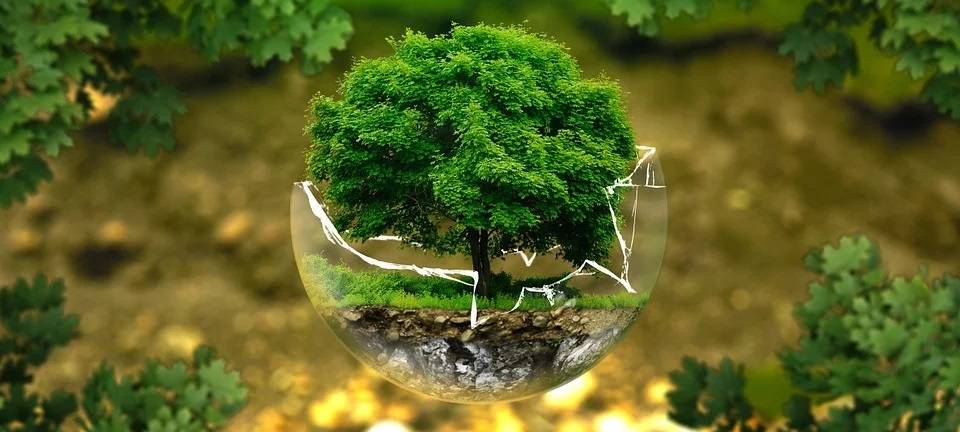 Als Rentner etwas für die Umwelt tun