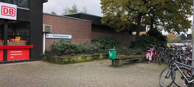 Maßnahmen gegen Ratten starten
