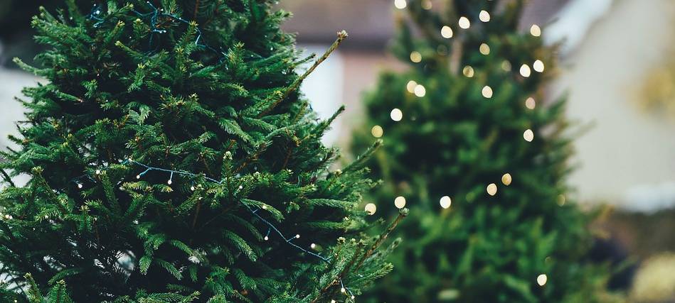 Mehr Weihnachtsbeleuchtung in Opladen