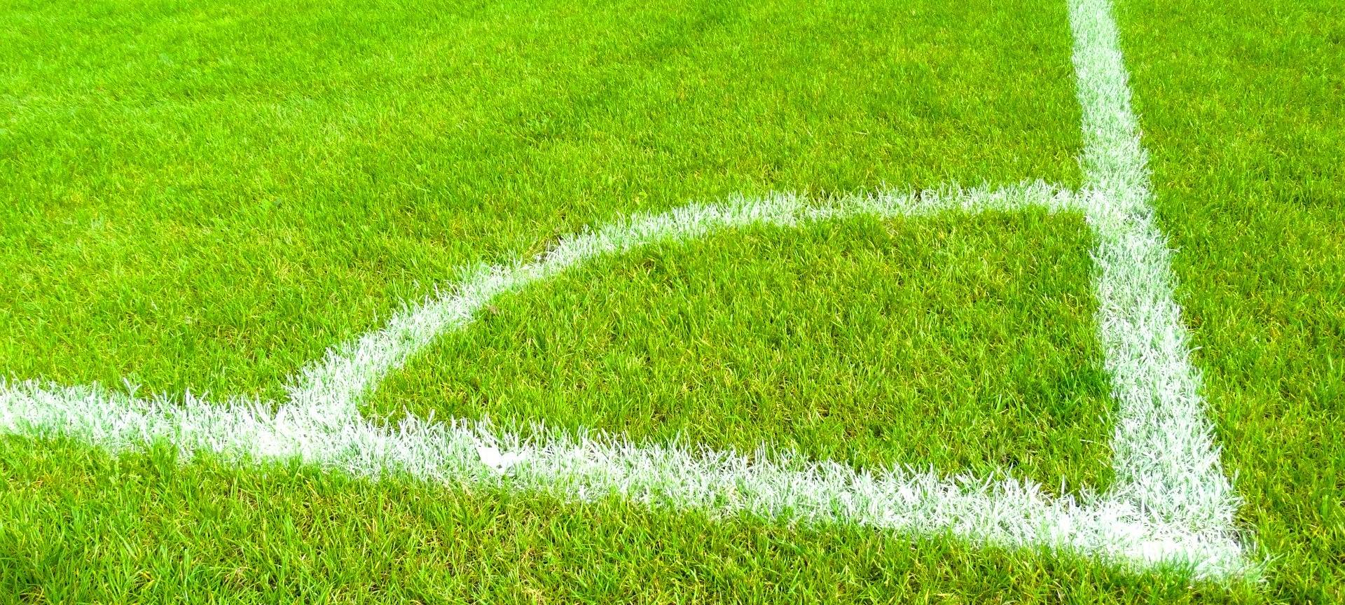 Leverkusener Fangemeinde: Levliest auch im "Stadion Eck"