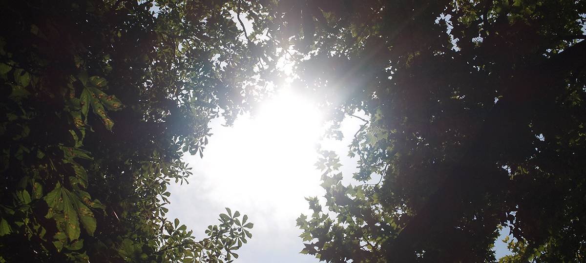 Unsere Zukunft - Leben mit dem Klimawandel: Der Förster