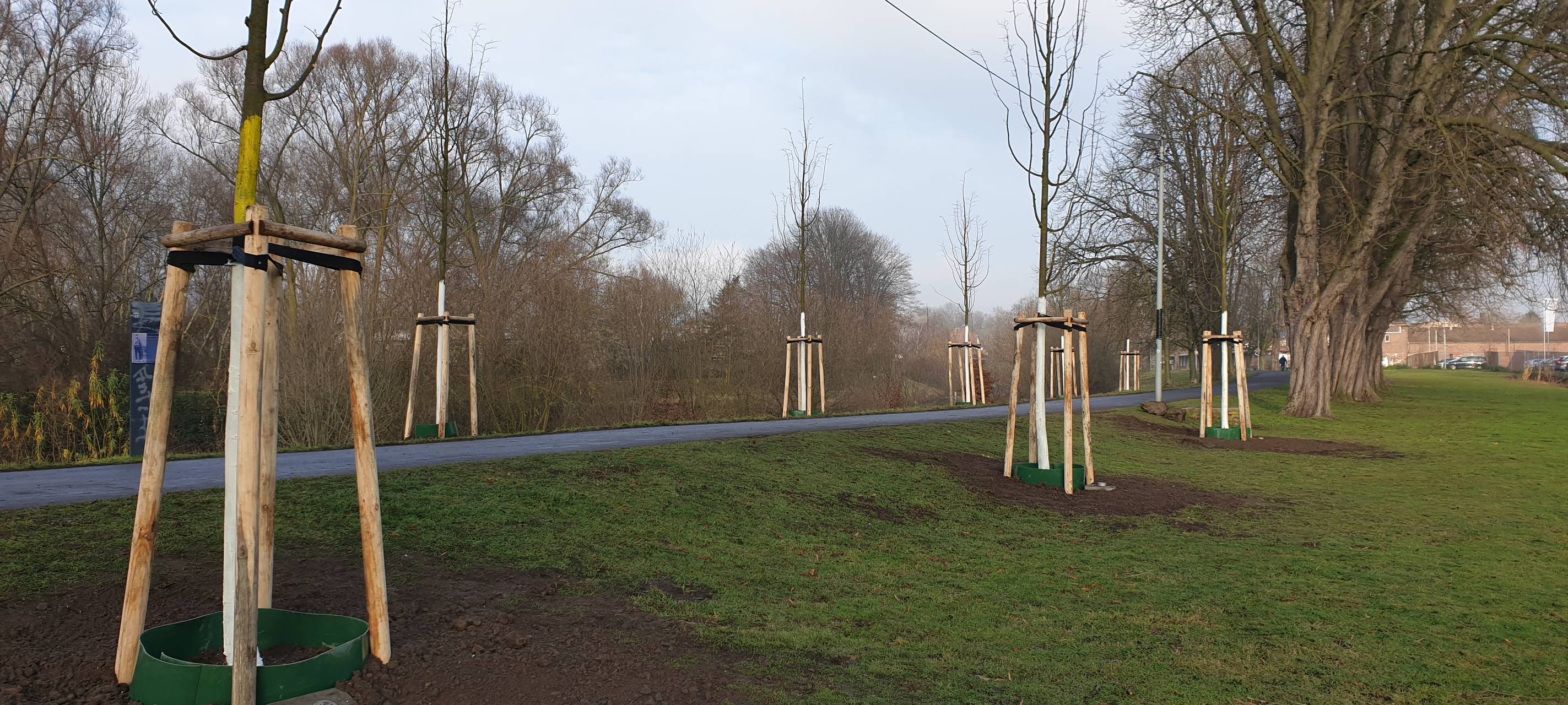 Kastanienallee, Schusterinsel, Bierbörse, Linden, Winterlinden, Lindenallee, Werner Nolden