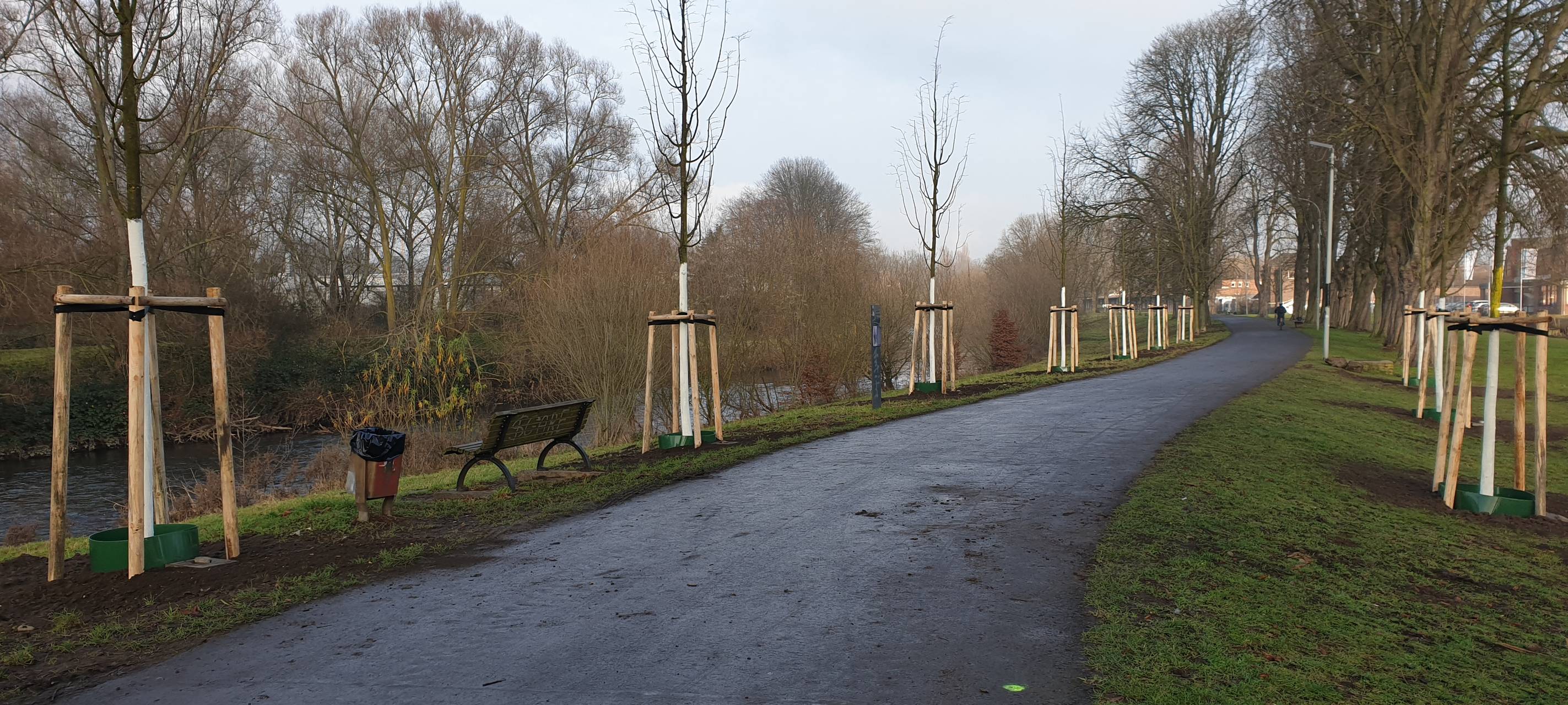Kastanienallee, Schusterinsel, Bierbörse, Linden, Winterlinden, Lindenallee, Werner Nolden