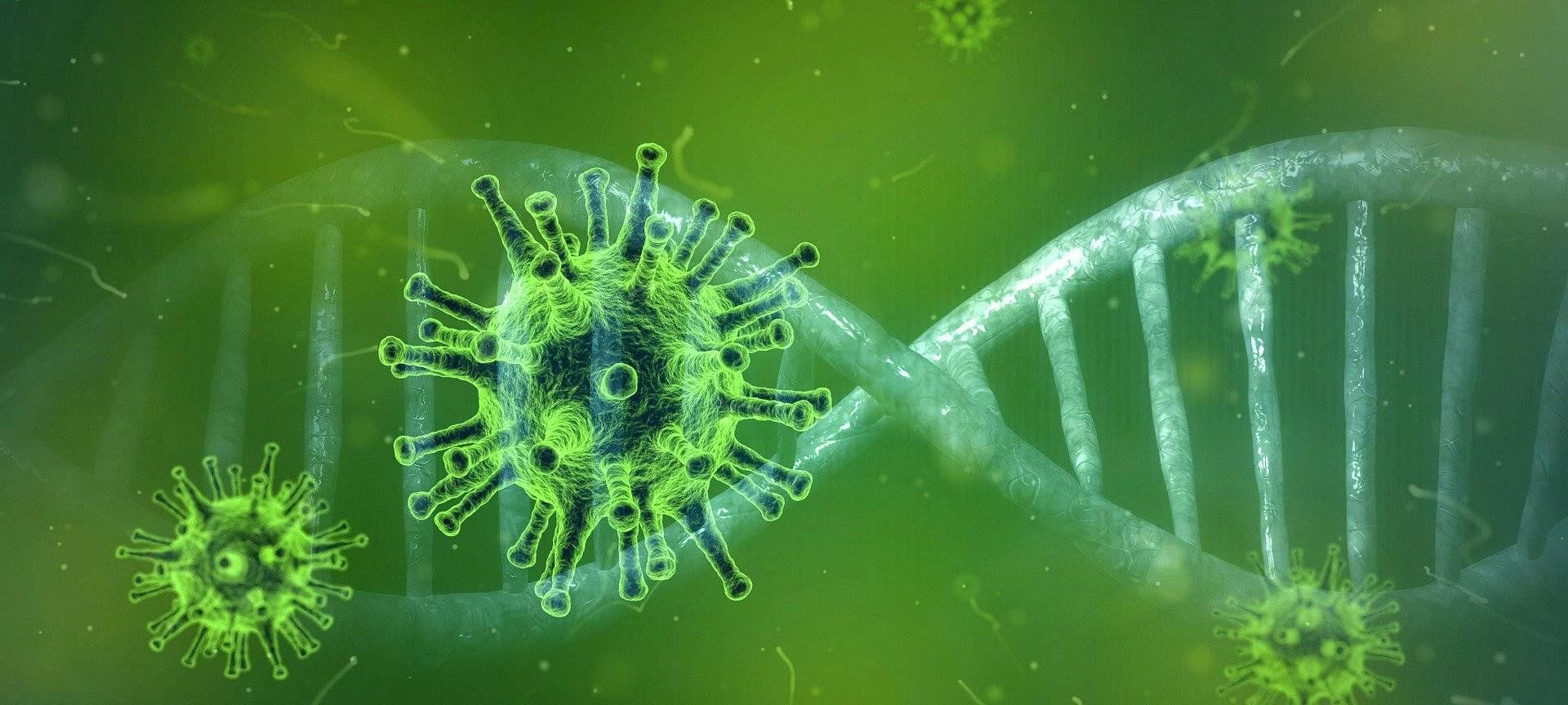 Hamsterkäufe wegen Corona-Virus