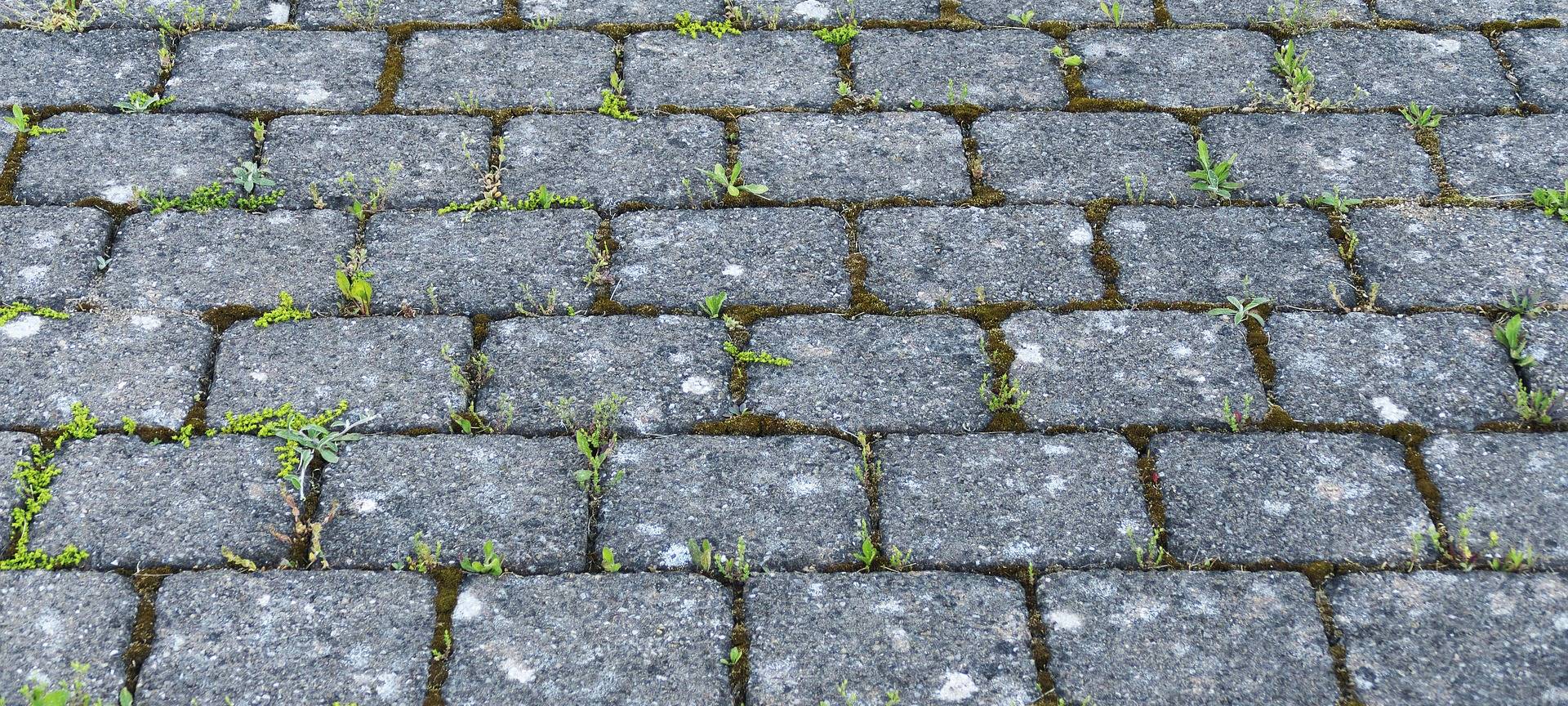 Keine Lösung für Parkplatzsituation
